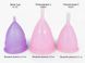 Менструальная чаша Femintimate Eve Cup размер L, диаметр 3,8см, для обильных выделений Розовый FM30531-SO-T фото 3